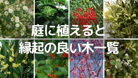 幸運木風水|庭に植えると縁起の良い木24選！運気の上がるおすすめを紹介